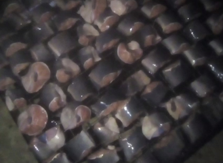 Processed Fresh Fish - Takib Farms and Agro Products Ltd